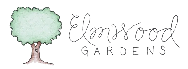 Hummingbird Hollow Logo