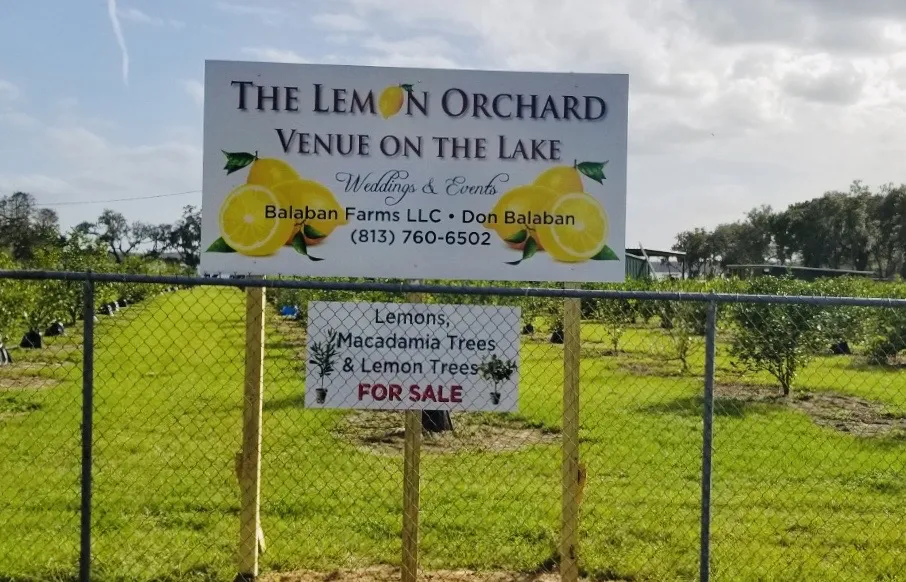 The Lemon Orchard Venue on the Lake Logo