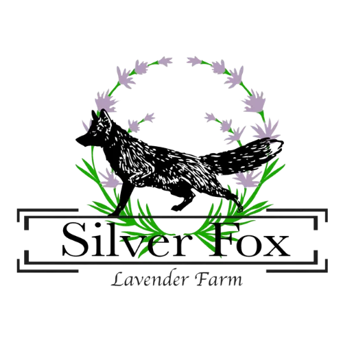 Silver Fox Lavender Farm Logo