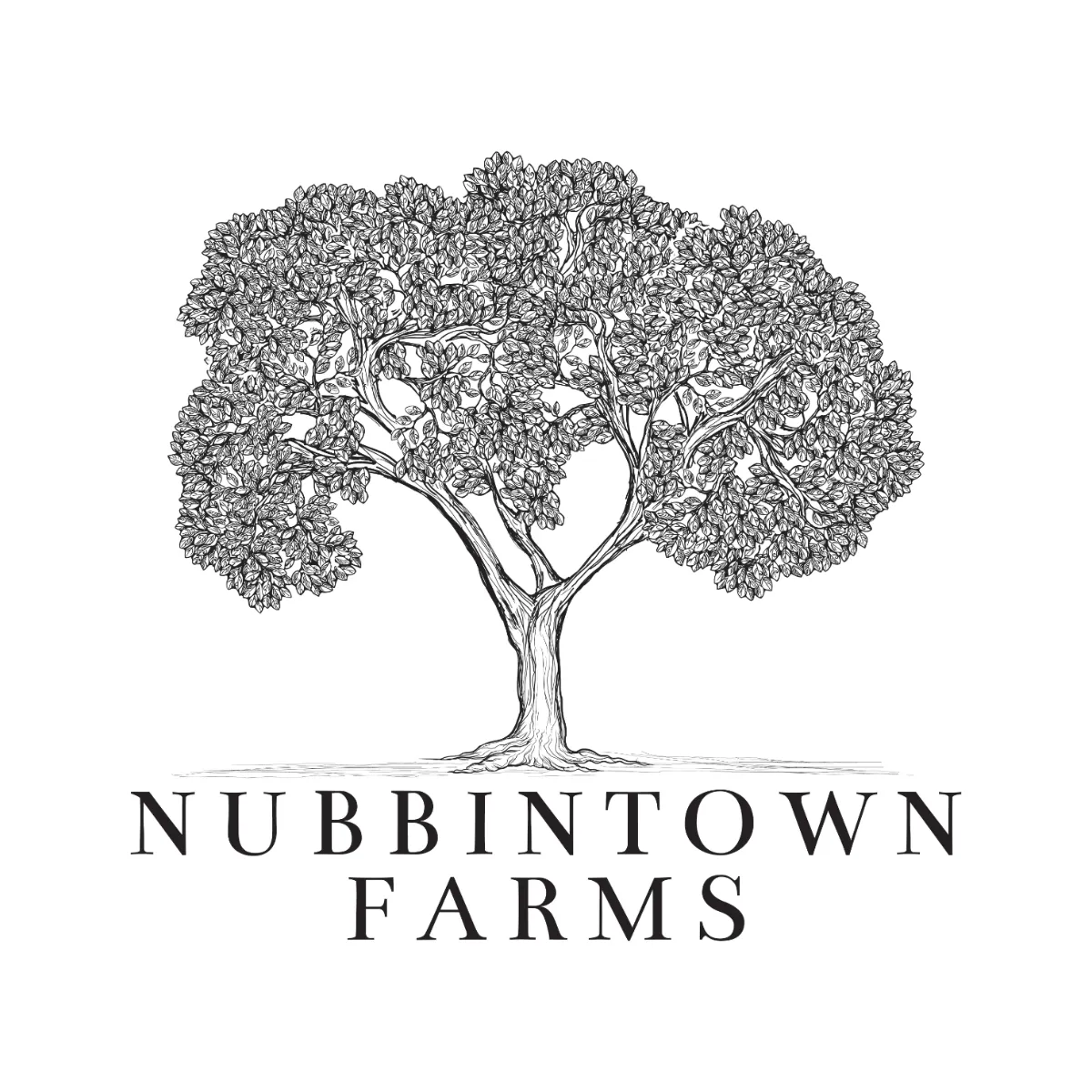 Nubbintown Farms Logo