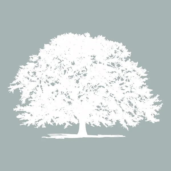 The Barn at the Woods Logo