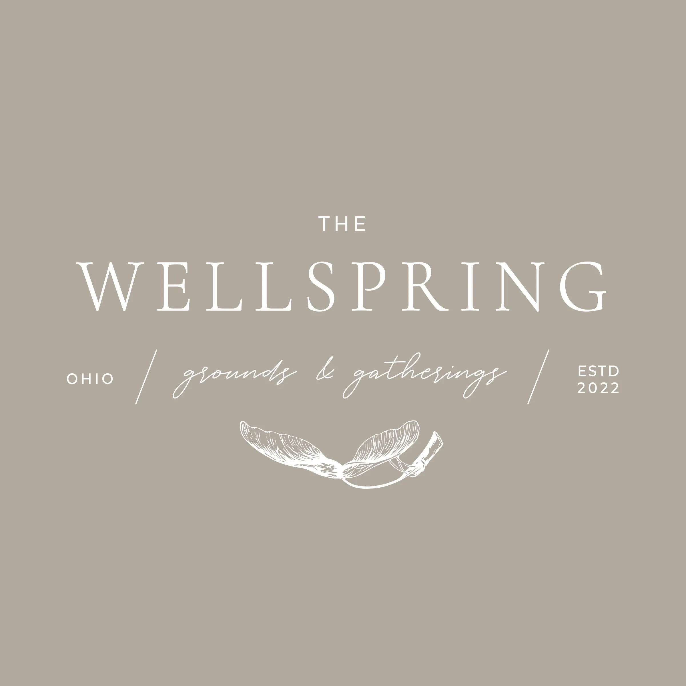 The Wellspring Ohio Logo