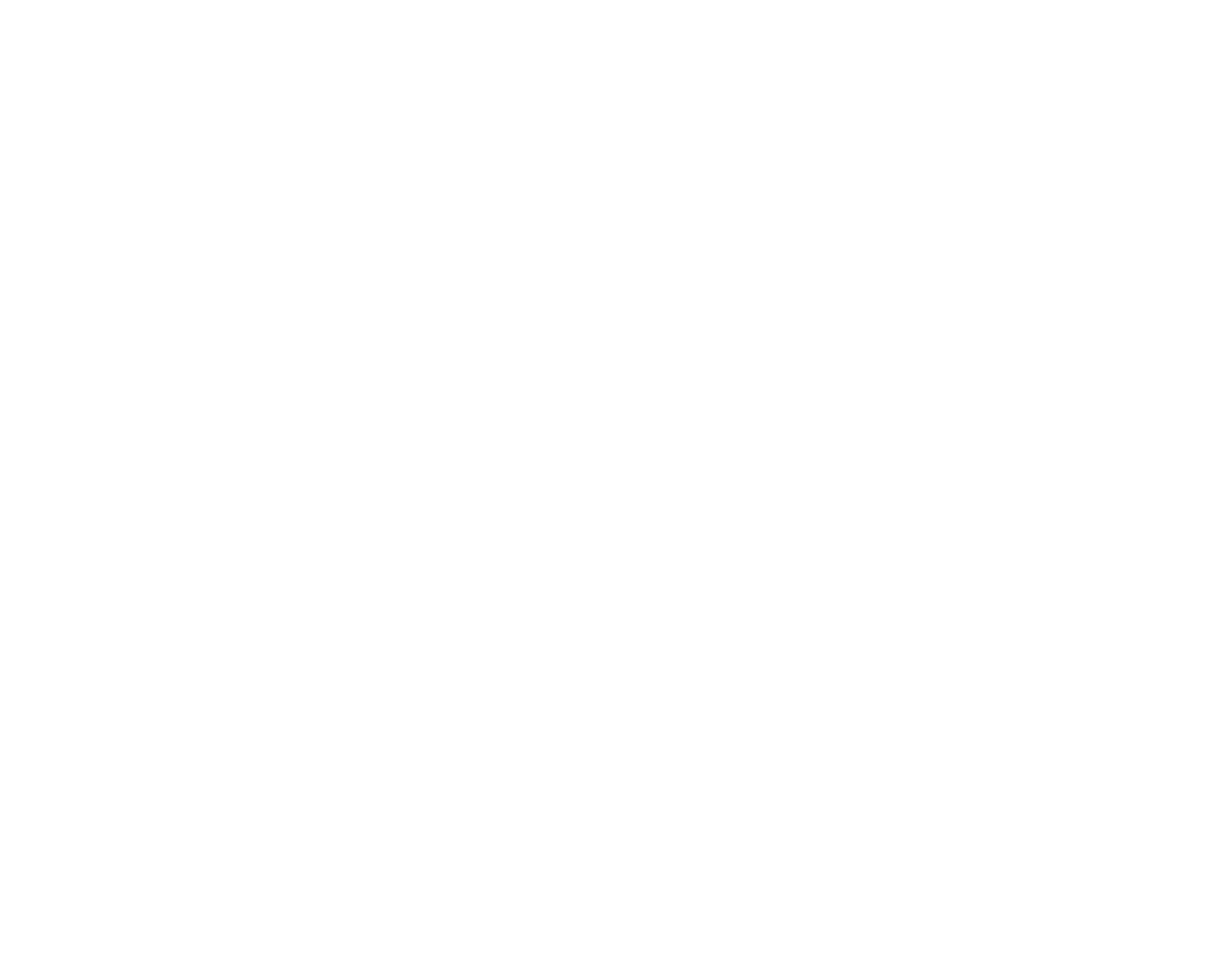 Wicked Pony Ranch Logo