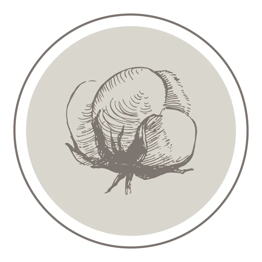 The Gin at Hidalgo Falls Logo