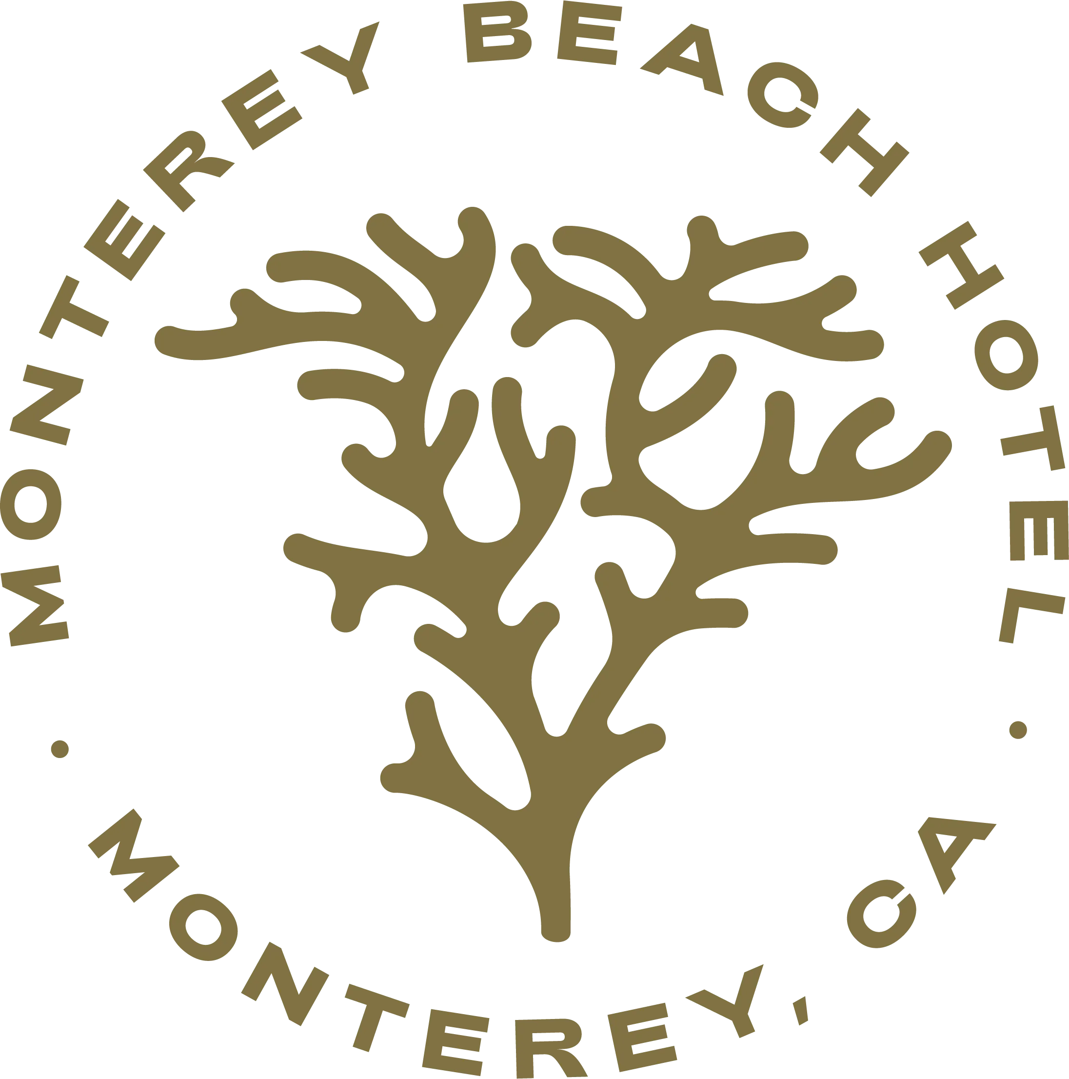 Monterey Tides Logo
