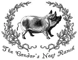 The Condor's Nest Ranch Logo