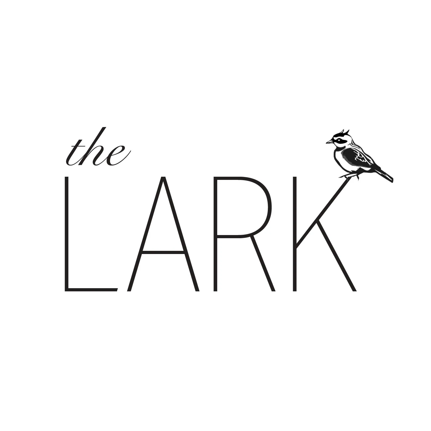 The Lark Logo