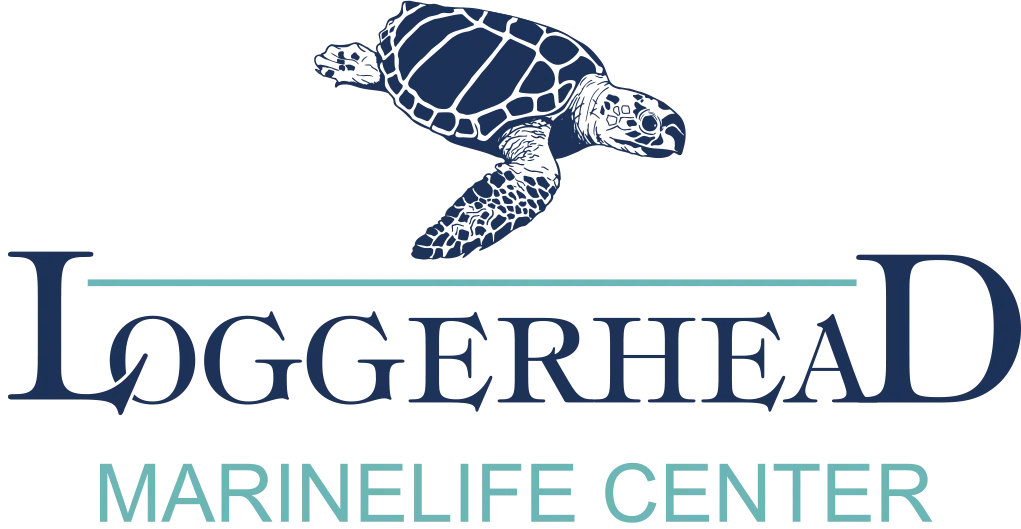 Loggerhead Marinelife Center Logo